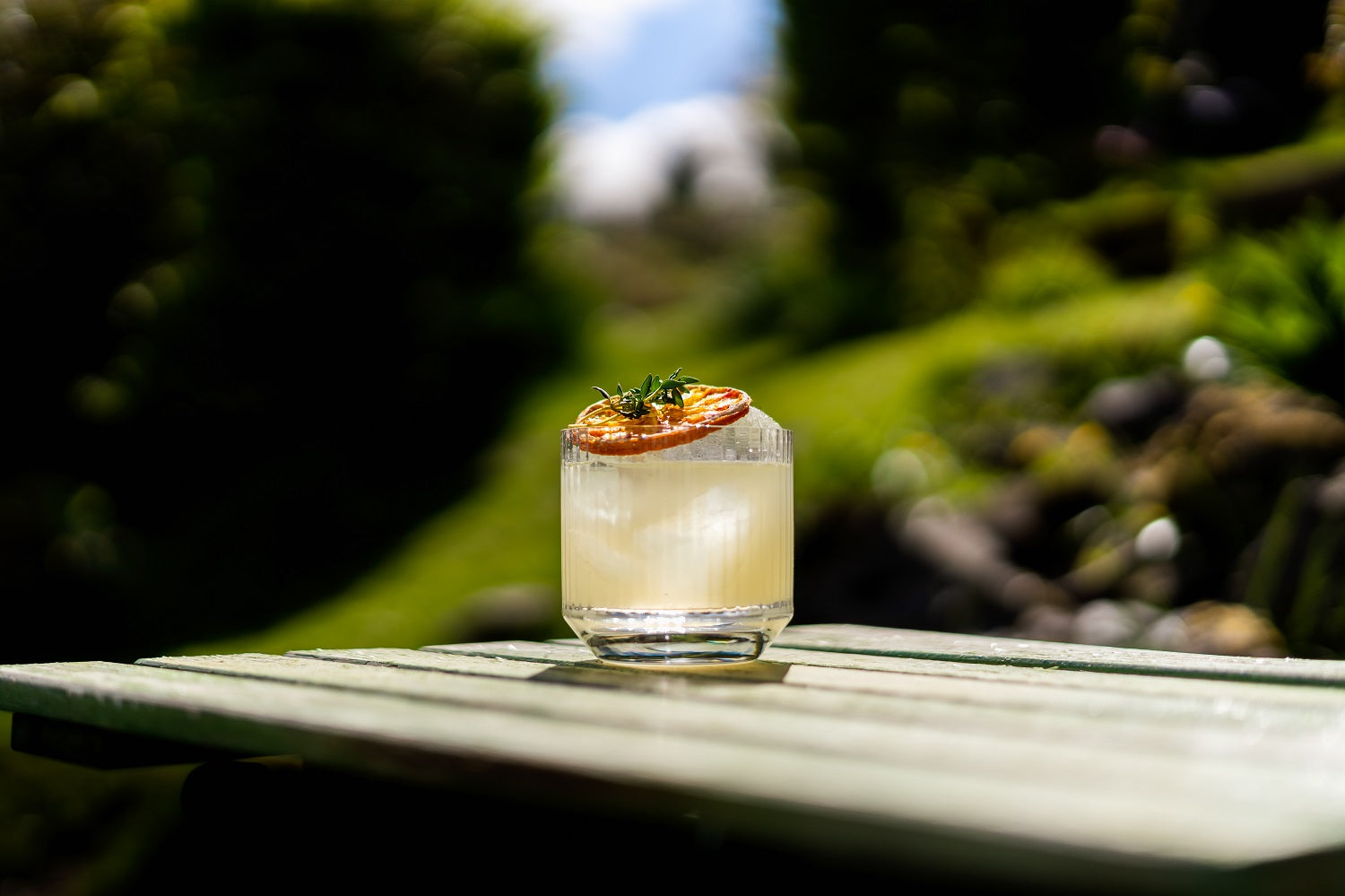 June Cocktails with Murray