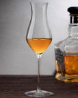 Islands Set of Two Whisky Tasting Glasses Tall - NUDE EU