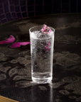 Savage Set of 4 High Ball Glasses - NUDE EU