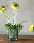 Opti Vase Tall - NUDE EU