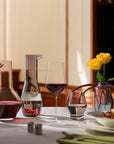 Beak Water Carafe