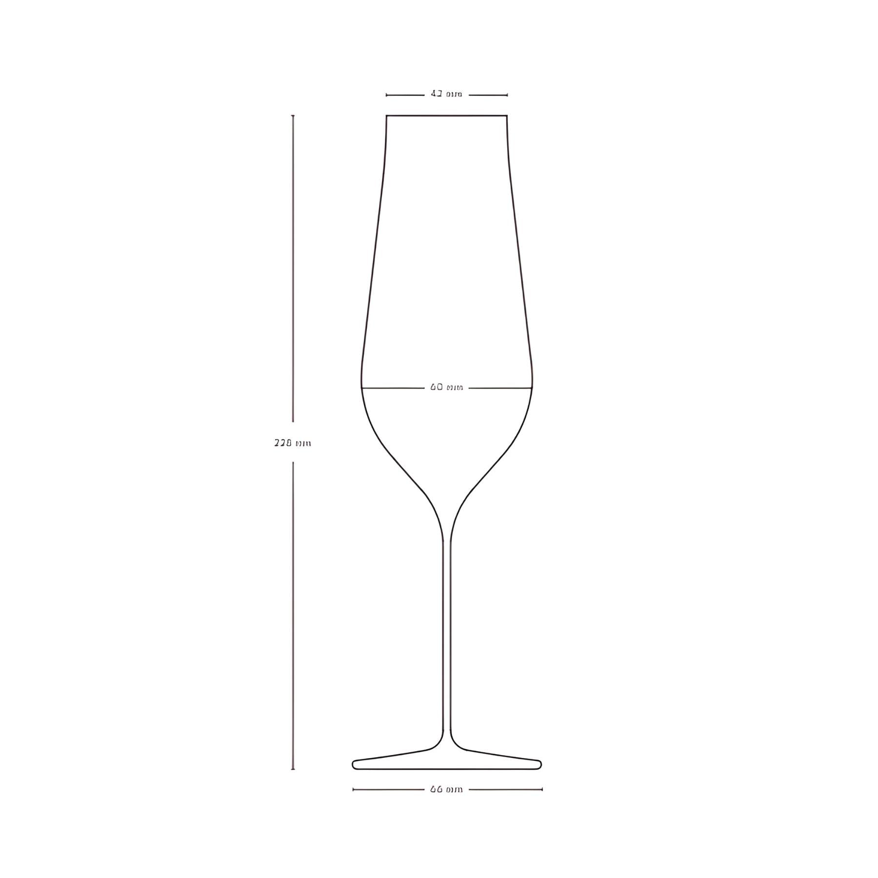 Ghost Zero Tulip Champagne Glass