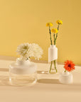 Vaso Mini Magnolia Piccolo
