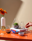 Eden Mini Terrarium Clear with Moulded Concrete Base