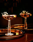 Big Top Set of 2 Coupe Glasses - NUDE EU