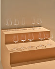 Stem Zero Set of 2 Elegant Red Wine Glasses Medium