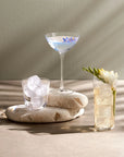 Savage Set of 4 Water Glasses - NUDE EU