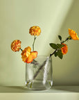 Opti Vase Tall - NUDE EU