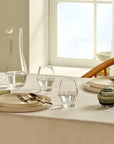 Beak Water Carafe