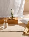 Mr. & Mrs. Night Water Set Short Green - NUDE EU