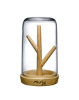 Blossom Jewellery Box with Oak Base - NUDE EU