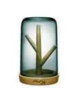 Blossom Jewellery Box with Oak Base - NUDE EU