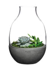 Eden Terrarium Clear with Moulded Concrete Base