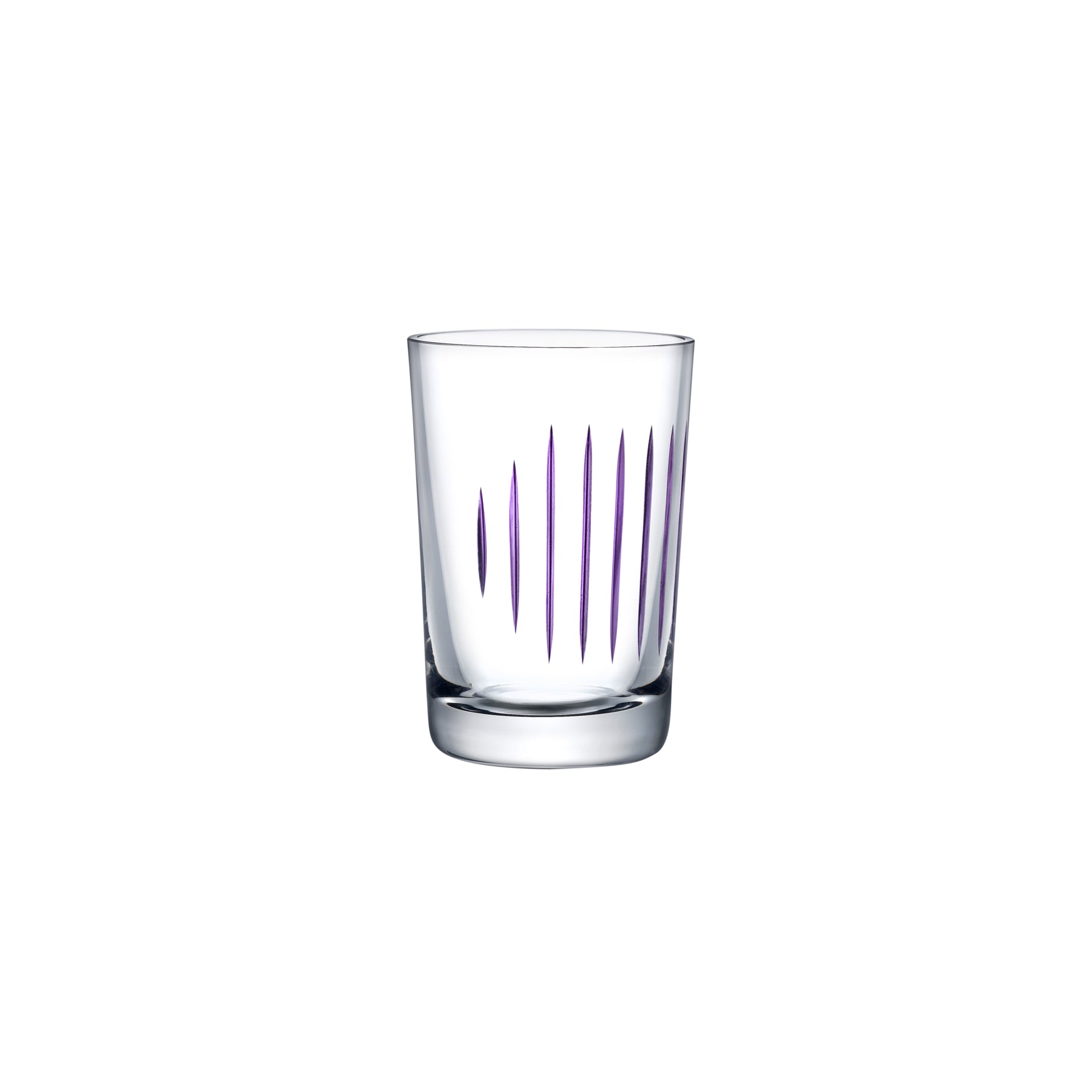 Parrot Set of 2 Water Glasses