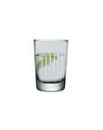 Parrot Set of 2 Water Glasses
