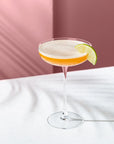Savage Set of 2 Coupe Glasses - NUDE EU
