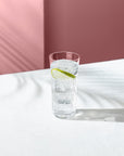 Savage Set of 4 High Ball Glasses