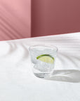 Savage Set of 4 Water Glasses