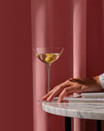 Savage Set of 6 Coupetini Glasses - NUDE EU