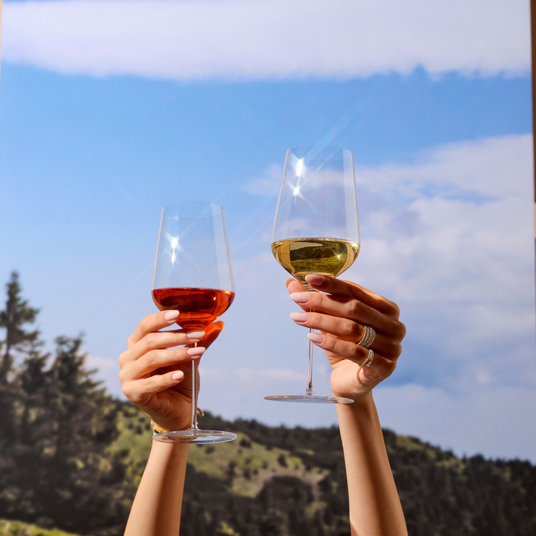 Stem Zero Set di 2 Calici da Vino Bianco Delicato