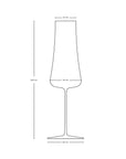Stem Zero Set of 2 Volcano Champagne Glasses