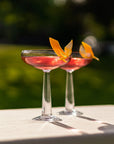 Big Top Set of 2 Coupe Glasses - NUDE EU