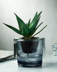 Roots Herb Pot Clear Top