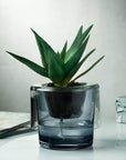 Roots Herb Pot Clear Top - NUDE EU