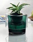 Roots Herb Pot Clear Top - NUDE EU