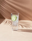 Hemingway Set of 4 High Ball Glasses