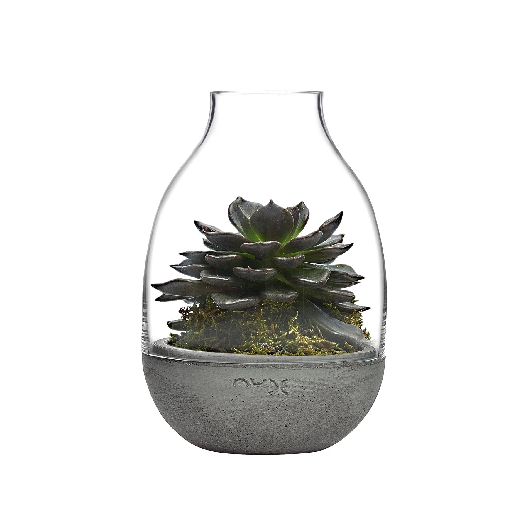 Eden Mini Terrarium Clear with Moulded Concrete Base