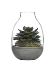Eden Mini Terrarium Clear with Moulded Concrete Base - NUDE EU