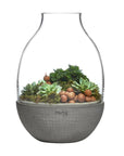 Eden Terrarium Clear with Moulded Concrete Base - NUDE EU
