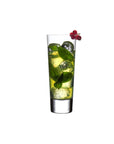 Highlands Set of 4 High Ball Glasses
