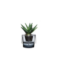 Roots Herb Pot Clear Top