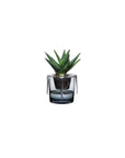 Roots Herb Pot Clear Top - NUDE EU