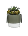 Roots Orchid Pot with Opal White Bottom
