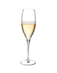 Terroir Set of 2 Champagne Glasses - NUDE EU