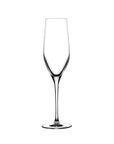 Vinifera Set of 2 Champagne Glasses