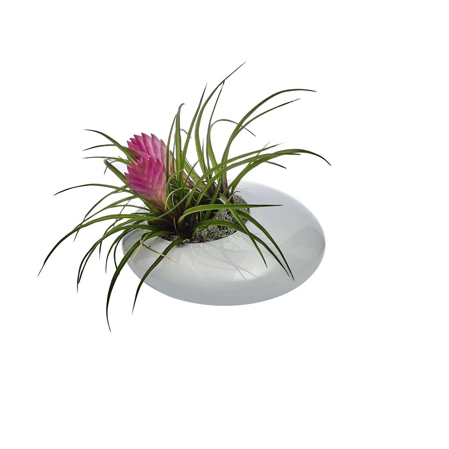 Nacre Bowl Small - NUDE EU