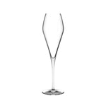 Fantasy Set of 2 Champagne Glasses - NUDE EU