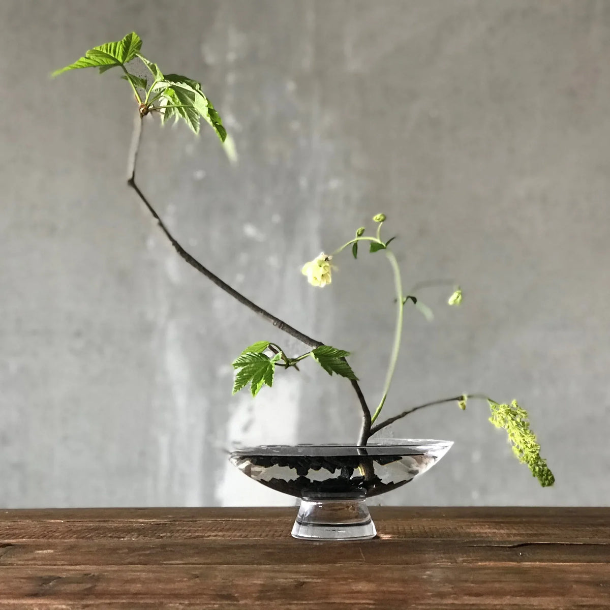 Silhouette Bowl Large - NUDE EU