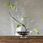 Silhouette Bowl Large - NUDE EU