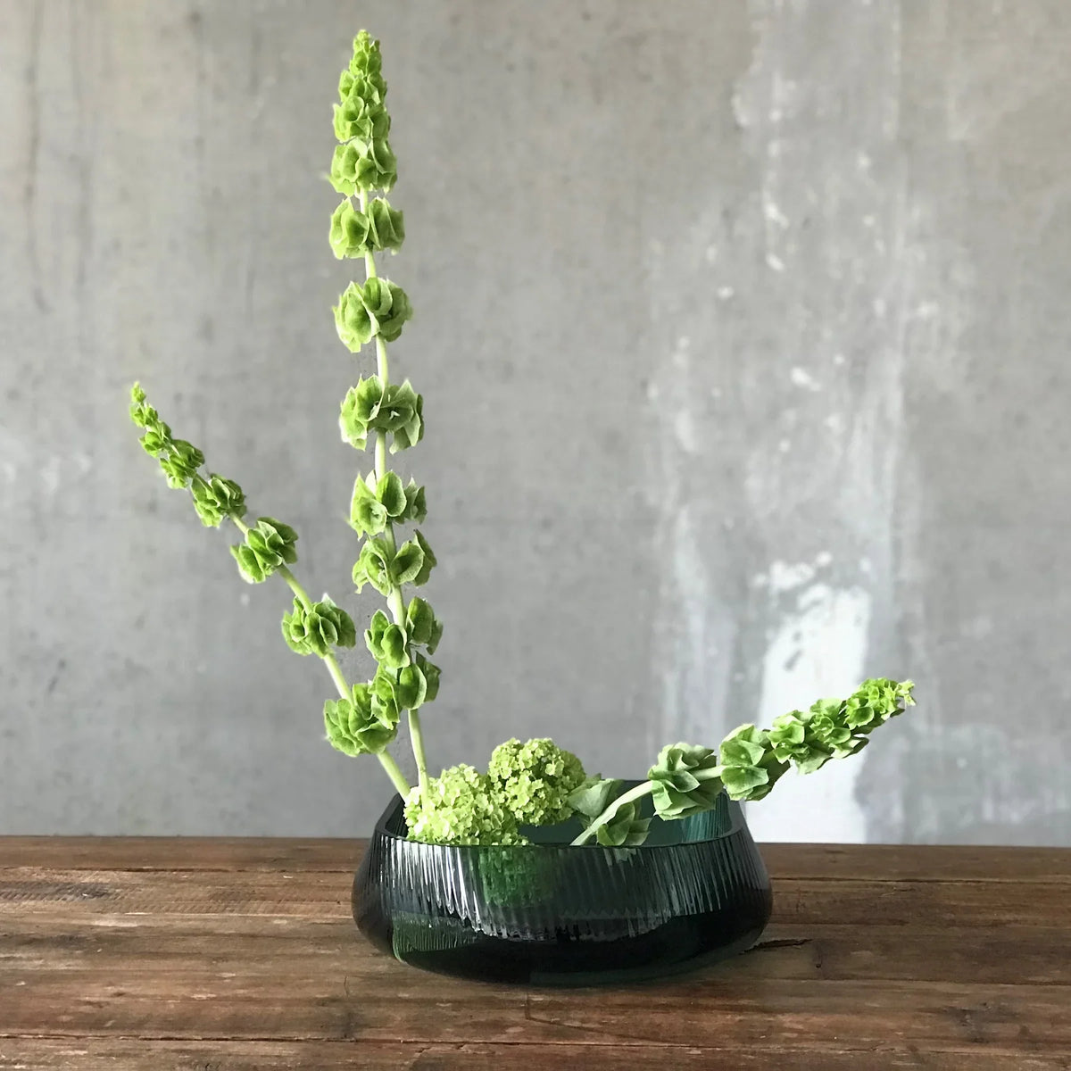 Opti Centrepiece - NUDE EU