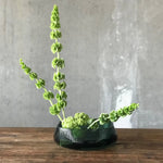 Opti Centrepiece - NUDE EU