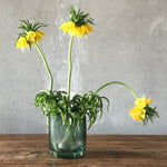 Opti Vase Tall - NUDE EU