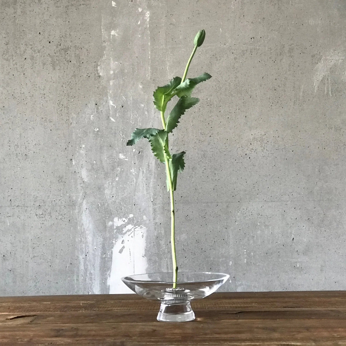 Silhouette Bowl Large - NUDE EU