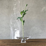 Silhouette Bowl Large - NUDE EU