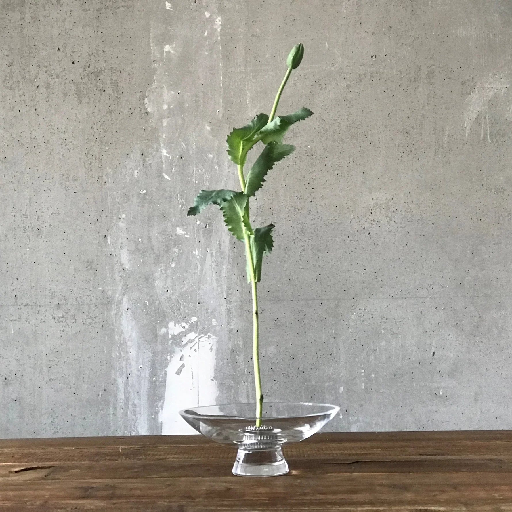 Silhouette Bowl Large - NUDE EU