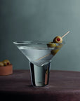 Gravity Martini Cocktail Glass